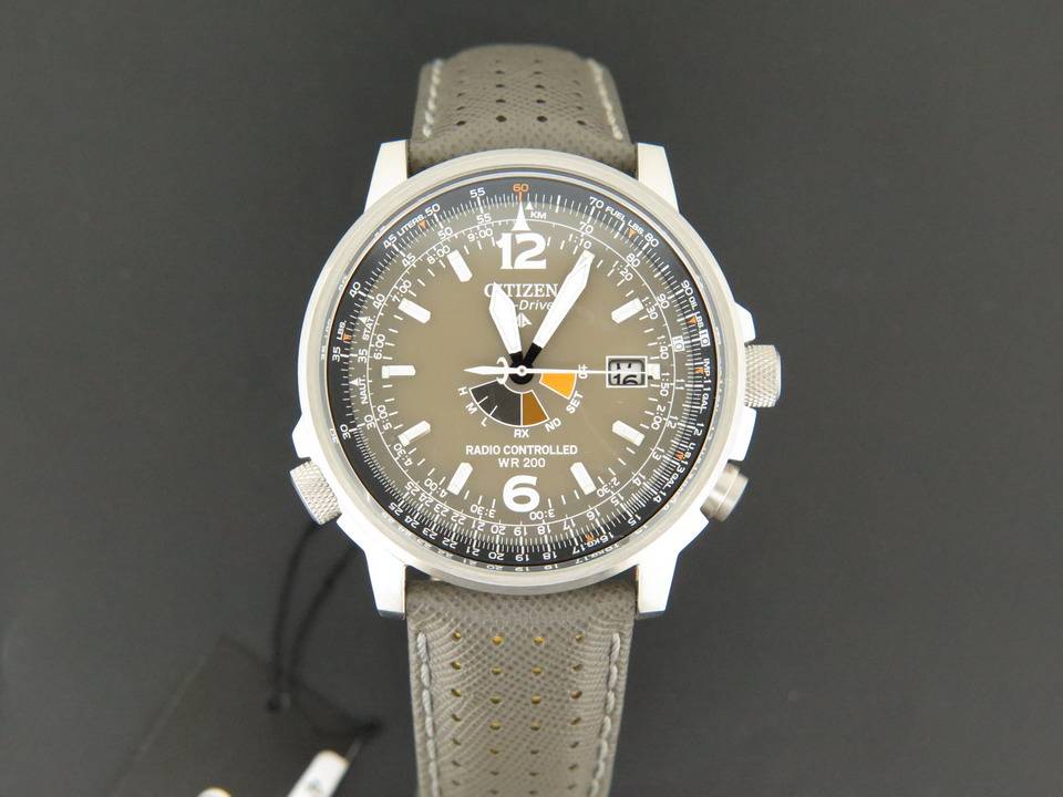 citizen pro master sky