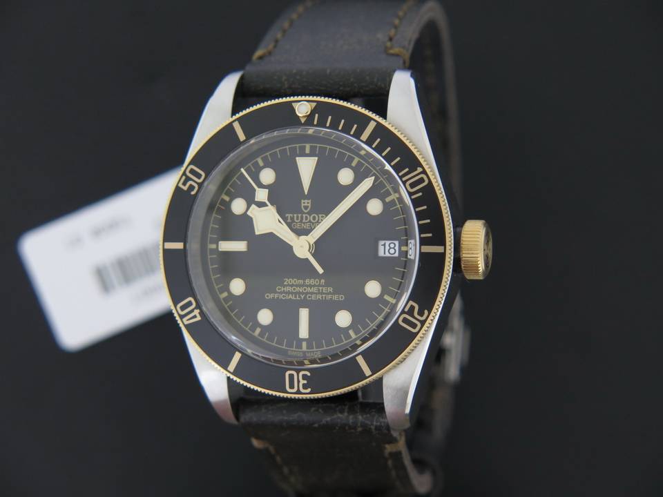 79733 tudor