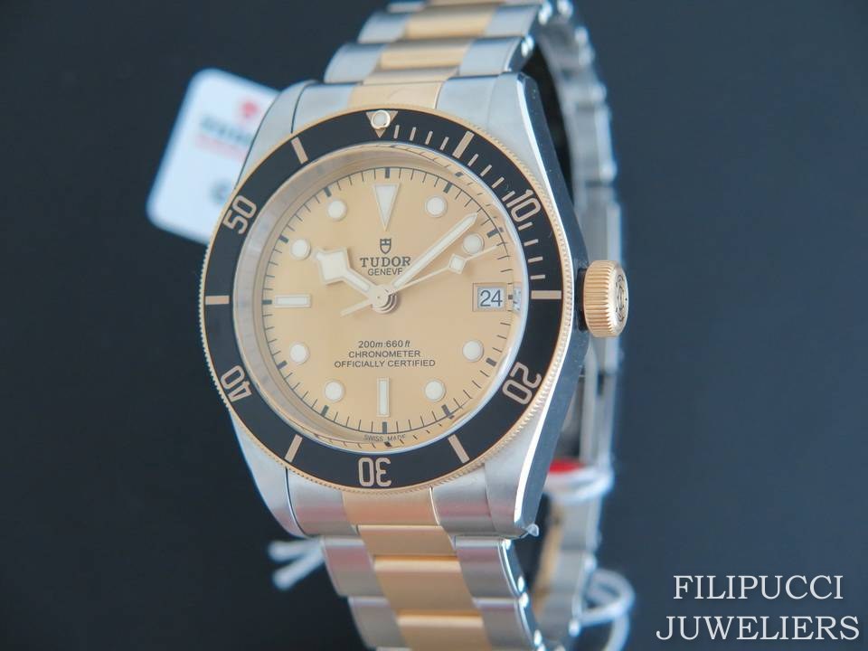 79733 tudor