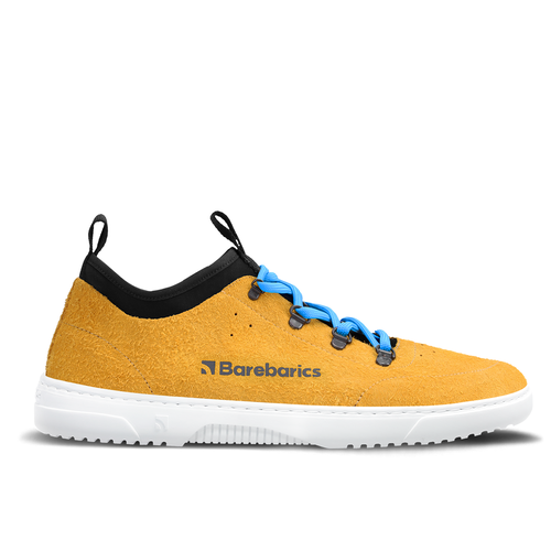 Barebarics Bronx Mustard