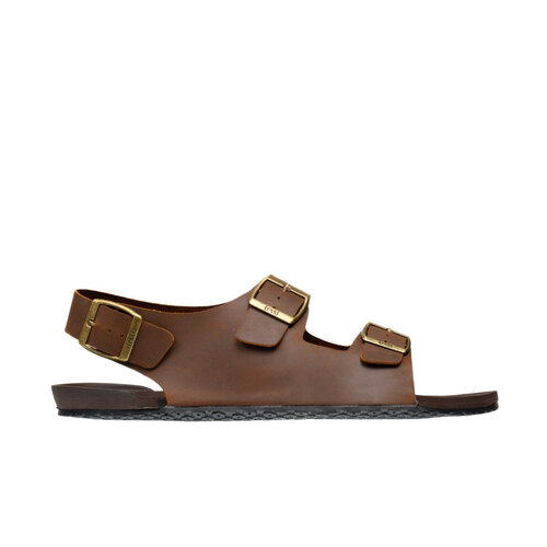 Freet Salcombe Brown