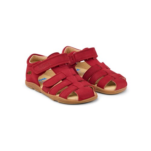 Koel Ola Red