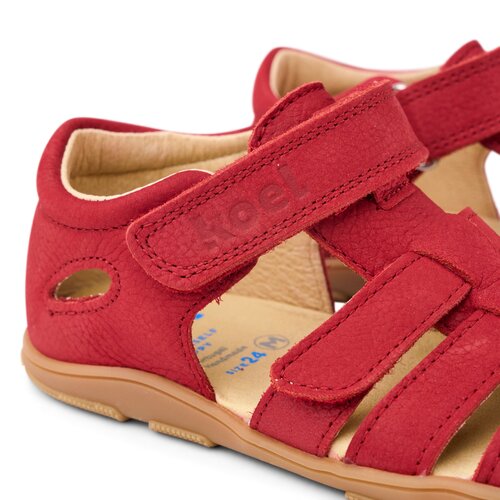 Koel Ola Red
