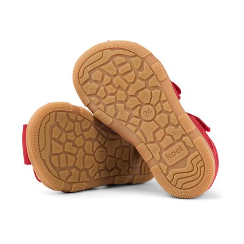 Koel Ola Red