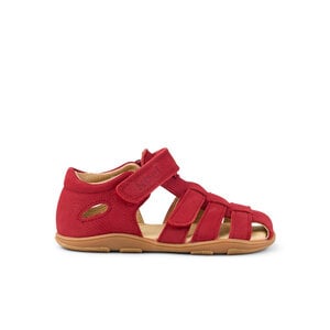 Koel Ola Red
