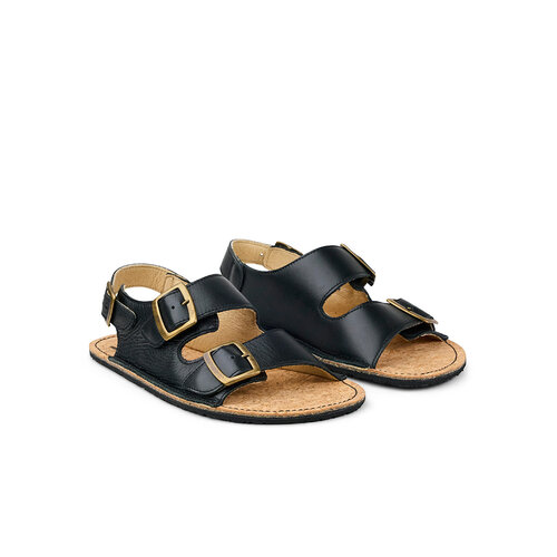 Koel Ada Black