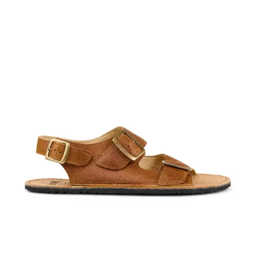 Koel Ada Brown