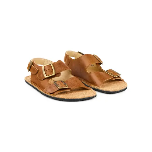 Koel Ada Brown