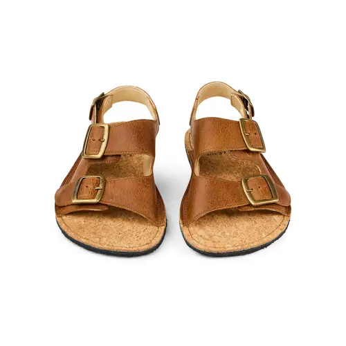 Koel Ada Brown