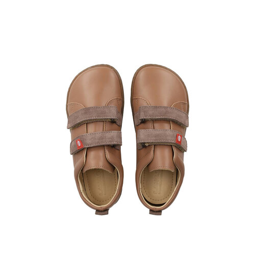 Lang.S Harlequin Maple Lang.S Harlequin Maple