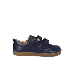 Lang.S Harlequin Azul