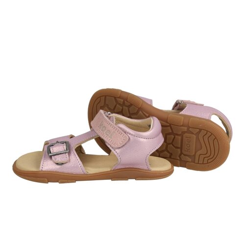 Koel Oda Pink Koel Oda Pink