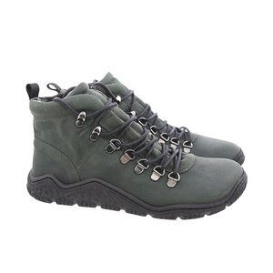 Koel Roxo Olive