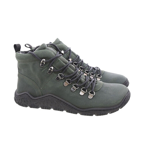 Koel Roxo Olive