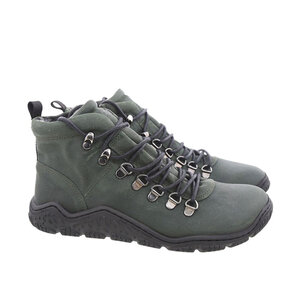 Koel Roxa Olive