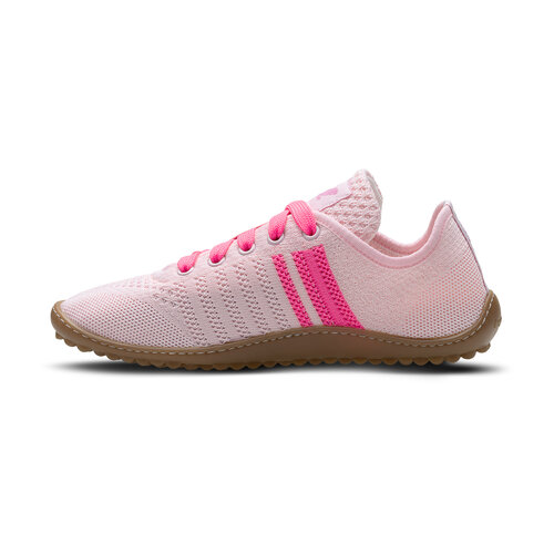 Leguano Caribeo Rose