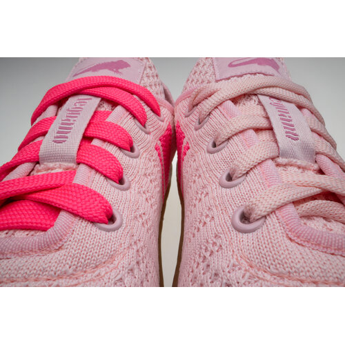 Leguano Caribeo Rose