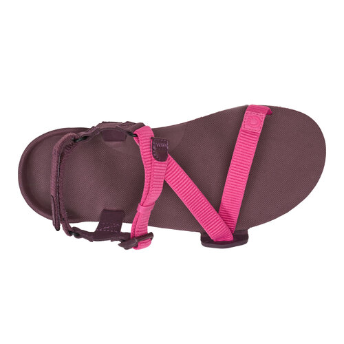 Xero Shoes Z-Trail EV Women Fuchsia Purple Xero Shoes Z-Trail EV Women Fuchsia Purple