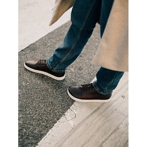 Barebarics Enigma Dark Brown