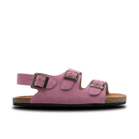 Arena Pink