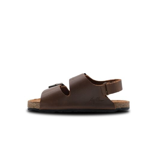 Aylla Arena Junior Brown