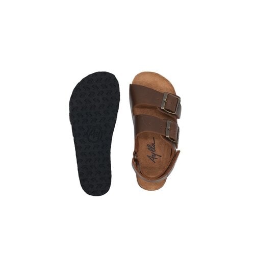 Aylla Arena Junior Brown