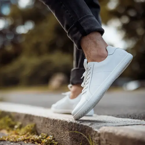 Angles Linos 2.0 White