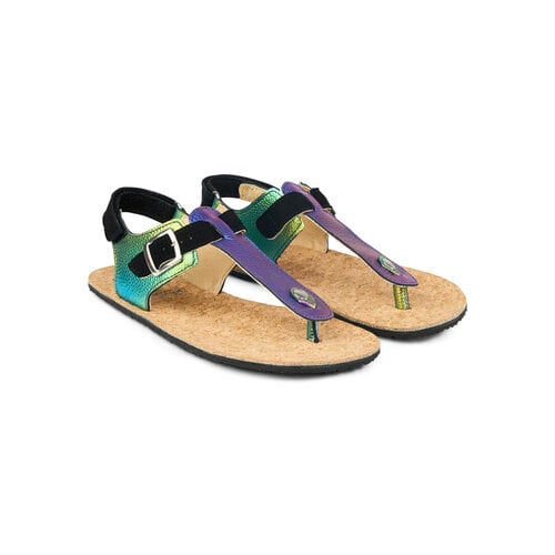 Koel Ariana Fantasy Purple