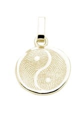 Yin Yang pendant, vaulted