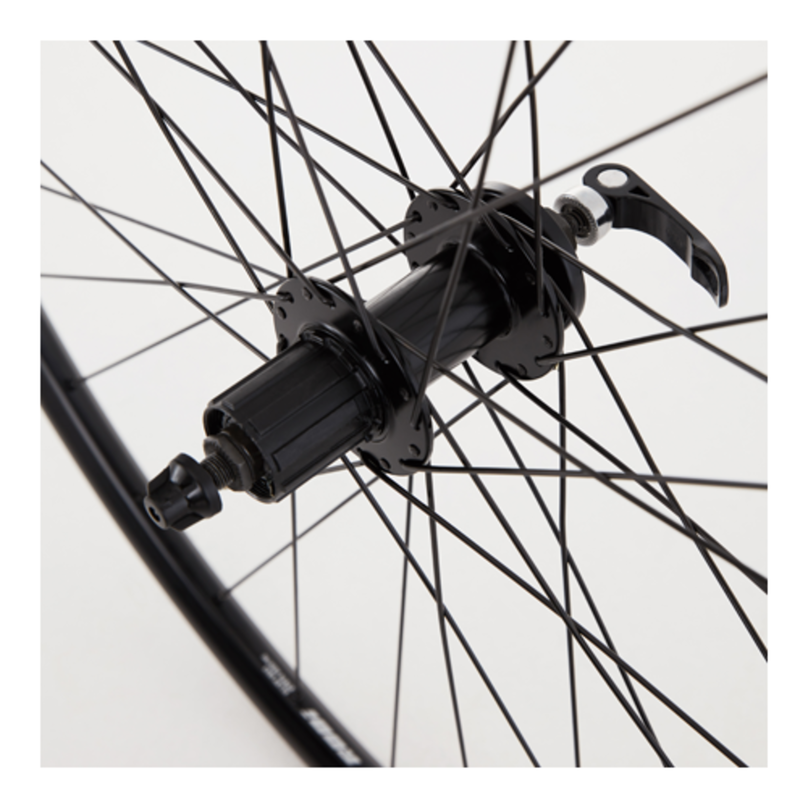 M:Part M:Part Wheel 29" M:Part Alloy 6B Rear Hub Q/R (Suits 8/9/10 Speed) Cassette 135 MM / 29" DW Disc Rim (622) / DT Swiss Plain Gauge 32 Spokes / Black