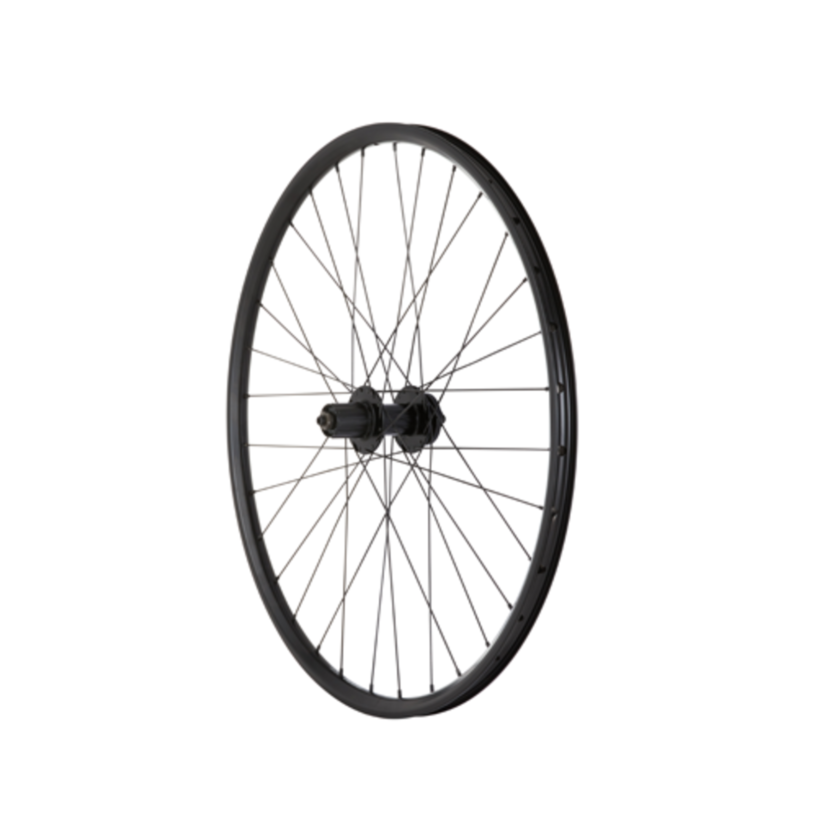 M:Part M:Part Wheel 26" Alloy 6B Rear Hub Q/R (Suits 8/9/10 Speed) Cassette 135 MM / 26" DW Disc Rim (559) / DT Swiss Plain Gauge 32 Spokes / Black