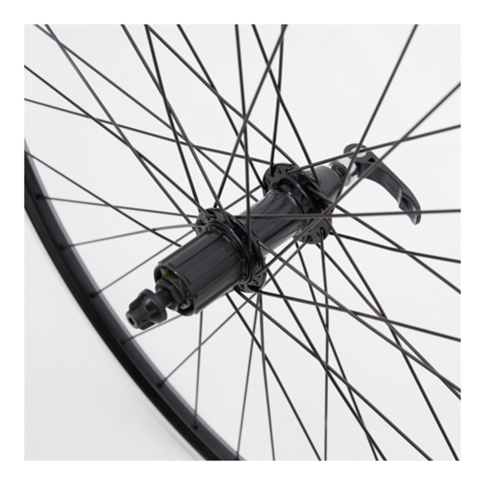 M:Part M:Part Wheel 26" Alloy Rear Hub Q/R (Suits 8/9/10 Speed) Cassette 135 MM / 26" DW Rim (559) / DT Swiss Plain Gauge 36 Spokes / Black Wheel