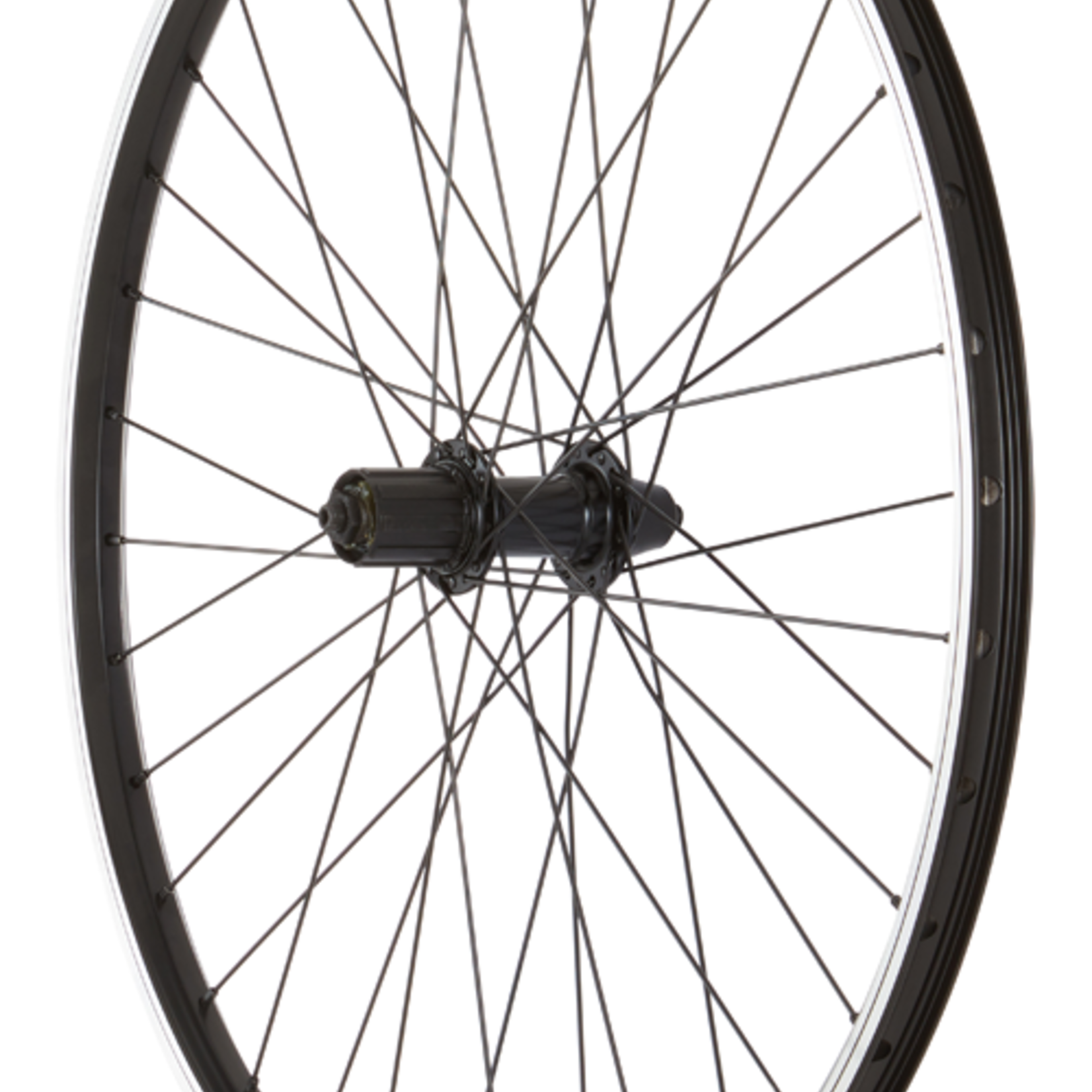 M:Part M:Part Wheel 26" Alloy Rear Hub Q/R (Suits 8/9/10 Speed) Cassette 135 MM / 26" DW Rim (559) / DT Swiss Plain Gauge 36 Spokes / Black Wheel