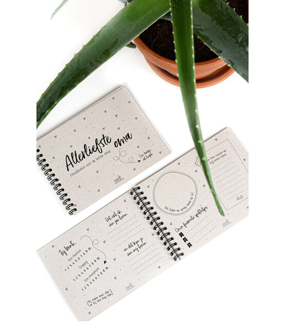 Superleuk invulboekje voor de liefste oma!