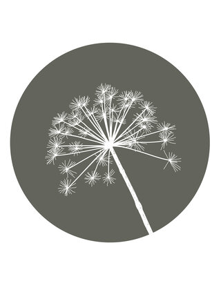 Muurcirkel (binnen) olijfgroen met berenklauw - 40cm