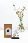 Cadeaupakket Huisje met gedroogde bladeren in cadeauverpakking - Iets moois voor thuis Cadeaupakket Huisje met gedroogde bladeren in cadeauverpakking - Iets moois voor thuis