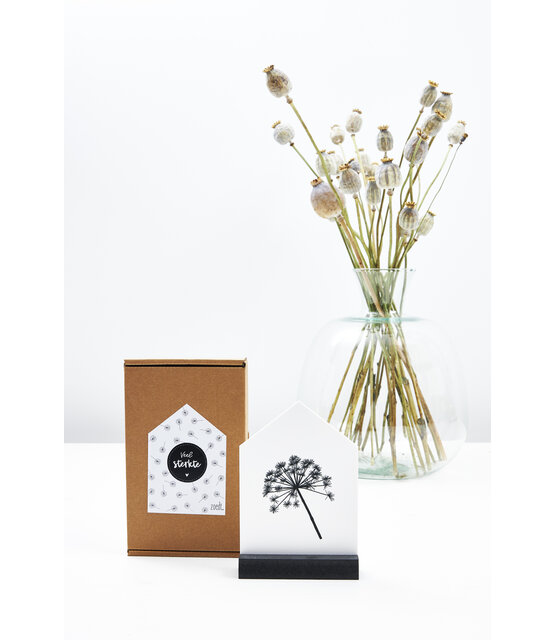 Cadeaupakket Huisje met berenklauw in cadeauverpakking - Veel sterkte