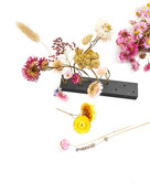 Bloemhouder voor droogbloemen - 20cm