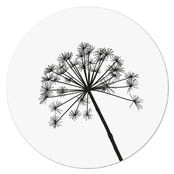 Muurcirkel wit met berenklauw Muurcirkel wit met berenklauw