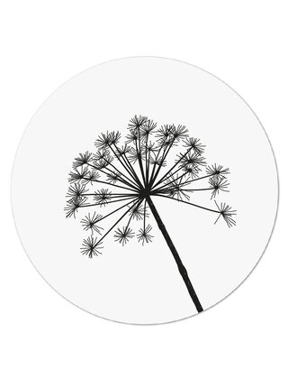 Muurcirkel (binnen) wit met berenklauw - 40cm