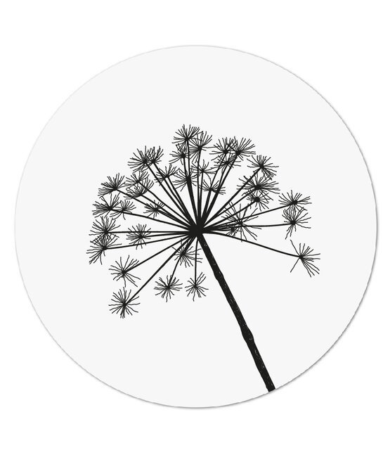 Muurcirkel wit met berenklauw Muurcirkel wit met berenklauw