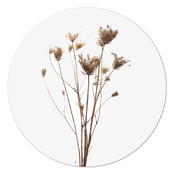 Muurcirkel gedroogde bloemen