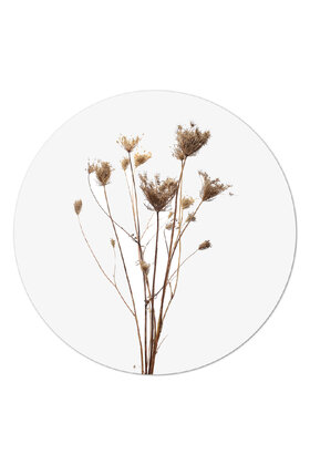 Muurcirkel (binnen) gedroogde bloemen - 30 en 40 cm