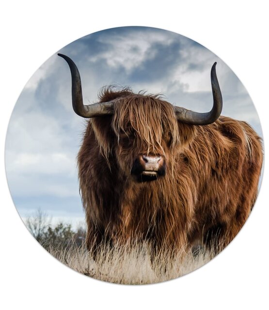 Muurcirkel Schotse Hooglander