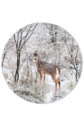 Muurcirkel (binnen) Hert - in 3 formaten