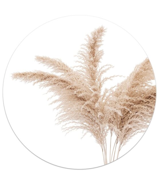 Muurcirkel foto pampas gras Muurcirkel foto pampas gras