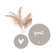 Set van 3 muurcirkels - beige pampasgras - 3 verschillende maten Set van 3 muurcirkels - beige pampasgras - 3 verschillende maten