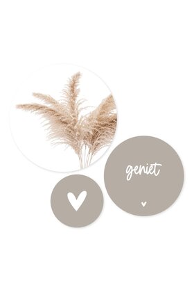 Set van 3 muurcirkels (binnen) - beige pampasgras