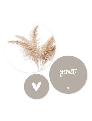 Set van 3 muurcirkels (binnen) - beige pampasgras