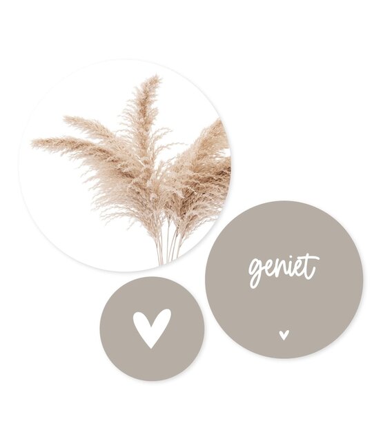 Set van 3 muurcirkels - beige pampasgras - 3 verschillende maten Set van 3 muurcirkels - beige pampasgras - 3 verschillende maten